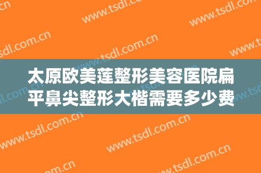 太原欧美莲整形美容医院扁平鼻尖整形大楷需要多少费用?好不好?(太原市正规的医美整形)