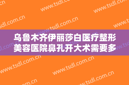 乌鲁木齐伊丽莎白医疗整形美容医院鼻孔开大术需要多少费用?需要多久恢复?