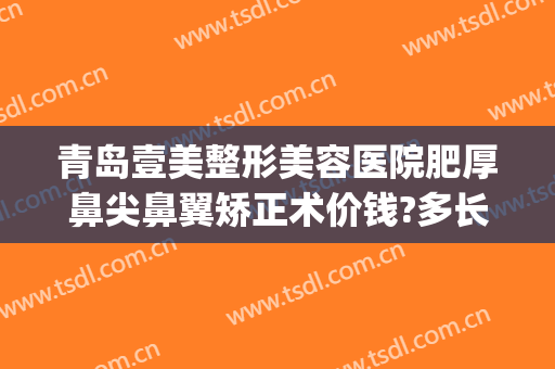 青岛壹美整形美容医院肥厚鼻尖鼻翼矫正术价钱?多长时间恢复?(青岛壹美整形美容医院地址)