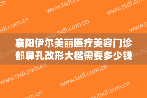襄阳伊尔美丽医疗美容门诊部鼻孔改形大楷需要多少钱?可靠吗?(襄阳伊尔美医疗美容医院怎么样)