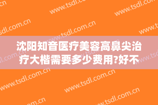 沈阳知音医疗美容高鼻尖治疗大楷需要多少费用?好不好?(沈阳知音医疗美容医院)