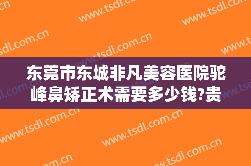 东莞市东城非凡美容医院驼峰鼻矫正术需要多少钱?贵不贵?(东莞非凡医疗美容整形医院怎么样)