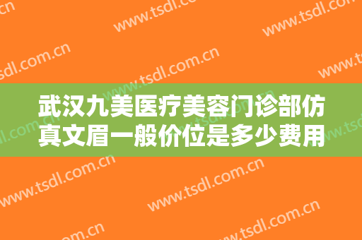 武汉九美医疗美容门诊部仿真文眉一般价位是多少费用?效果怎么样?