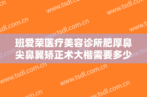 班爱荣医疗美容诊所肥厚鼻尖鼻翼矫正术大楷需要多少钱?效果怎么样?