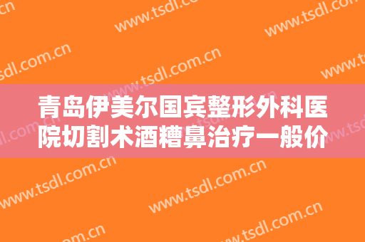 青岛伊美尔国宾整形外科医院切割术酒糟鼻治疗一般价位是多少?贵不贵?