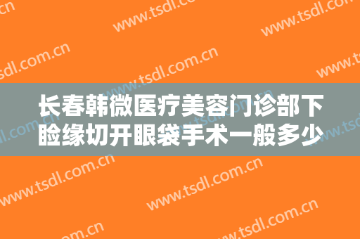 长春韩微医疗美容门诊部下睑缘切开眼袋手术一般多少钱?怎么样?