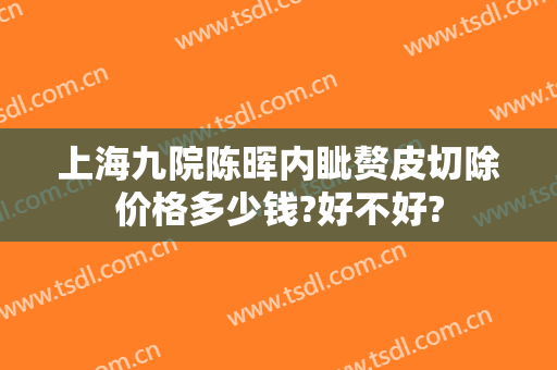 上海九院陈晖内眦赘皮切除价格多少钱?好不好?