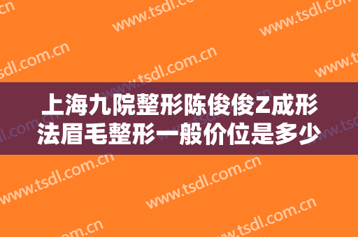 上海九院整形陈俊俊Z成形法眉毛整形一般价位是多少?贵不贵?