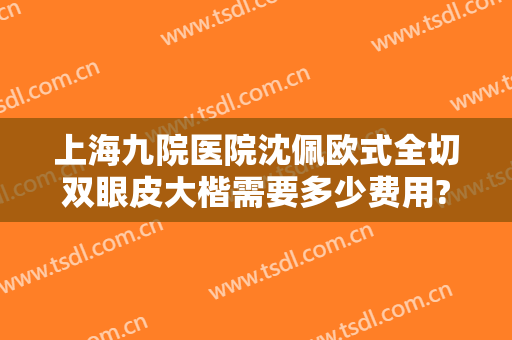 上海九院医院沈佩欧式全切双眼皮大楷需要多少费用?怎么样?