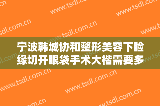 宁波韩城协和整形美容下睑缘切开眼袋手术大楷需要多少费用?可靠吗?