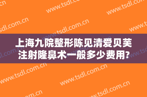 上海九院整形陈见清爱贝芙注射隆鼻术一般多少费用?好不好?