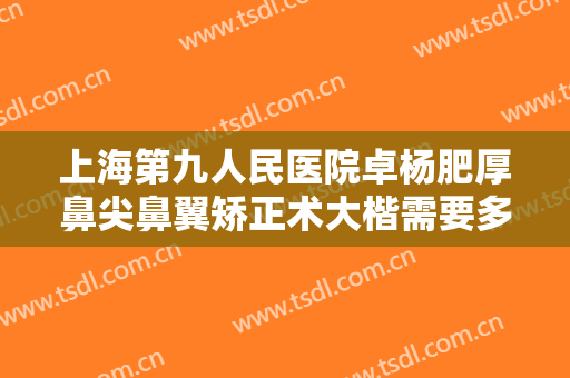 上海第九人民医院卓杨肥厚鼻尖鼻翼矫正术大楷需要多少费用?可靠吗?