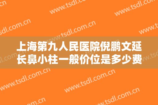 上海第九人民医院倪鹏文延长鼻小柱一般价位是多少费用?怎么样?