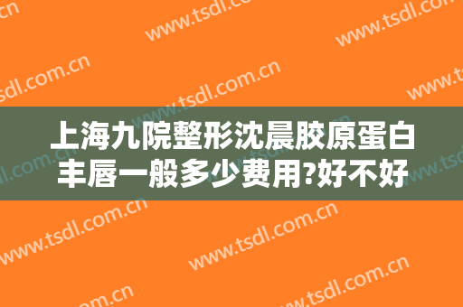 上海九院整形沈晨胶原蛋白丰唇一般多少费用?好不好?