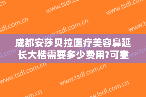 成都安莎贝拉医疗美容鼻延长大楷需要多少费用?可靠吗?
