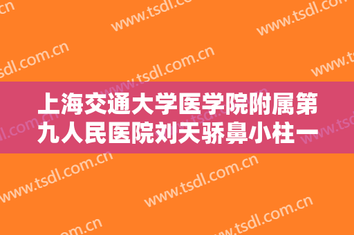 上海交通大学医学院附属第九人民医院刘天骄鼻小柱一般价位是多少费用?怎么样?