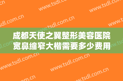成都天使之翼整形美容医院宽鼻缩窄大楷需要多少费用?怎么样?(广州鼻翼缩小哪个整形医院最好)