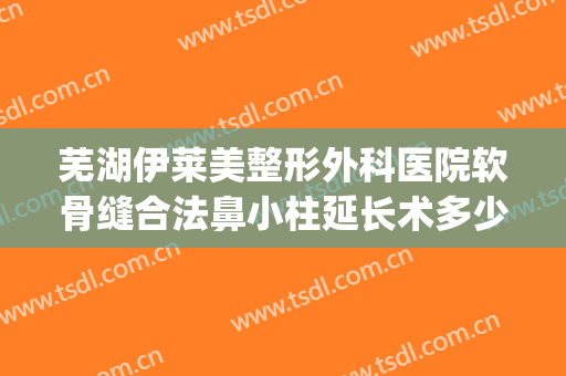 芜湖伊莱美整形外科医院软骨缝合法鼻小柱延长术多少钱?贵不贵?(莱芜艾美整形医院)