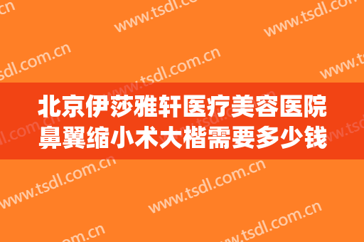 北京伊莎雅轩医疗美容医院鼻翼缩小术大楷需要多少钱?怎么样?(做缩小鼻翼多少钱)