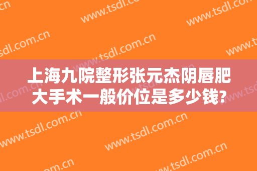 上海九院整形张元杰阴唇肥大手术一般价位是多少钱?好不好?