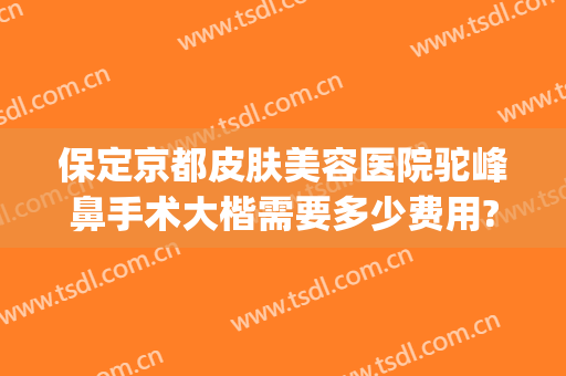 保定京都皮肤美容医院驼峰鼻手术大楷需要多少费用?好不好?(保定鼻子整容多少钱)