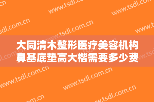 大同清木整形医疗美容机构鼻基底垫高大楷需要多少费用?靠谱吗?