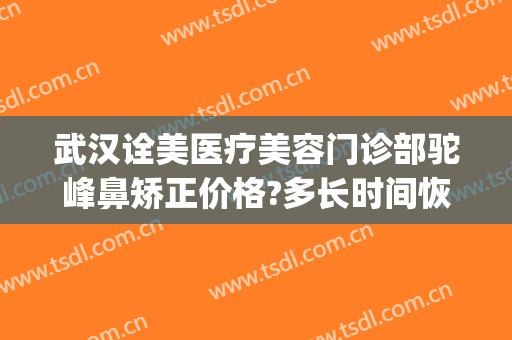 武汉诠美医疗美容门诊部驼峰鼻矫正价格?多长时间恢复?(诠美整形医院)