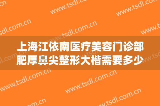 上海江依南医疗美容门诊部肥厚鼻尖整形大楷需要多少钱?怎么样?(重庆鼻子整形好的医生)