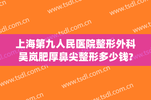 上海第九人民医院整形外科吴岚肥厚鼻尖整形多少钱?贵不贵?(上海九院整形鼻子案例)