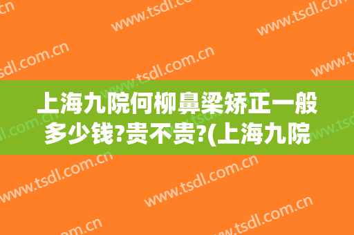 上海九院何柳鼻梁矫正一般多少钱?贵不贵?(上海九院整形医院哪个医生做鼻子好)