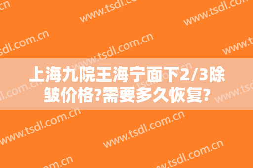 上海九院王海宁面下2/3除皱价格?需要多久恢复?