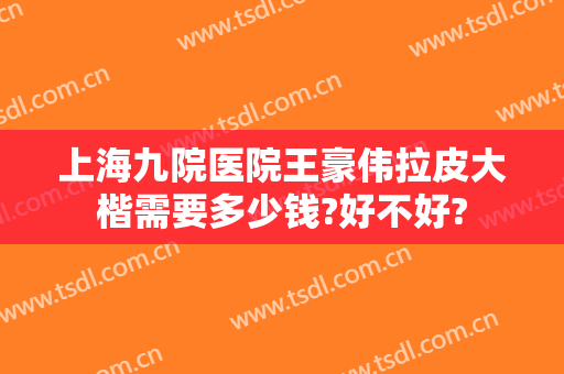上海九院医院王豪伟拉皮大楷需要多少钱?好不好?