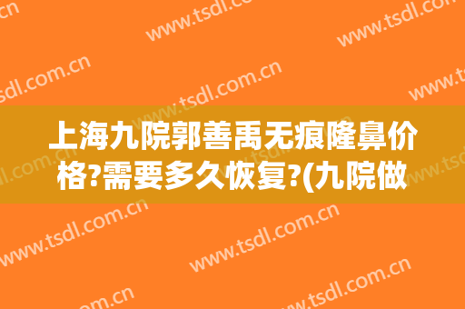 上海九院郭善禹无痕隆鼻价格?需要多久恢复?(九院做鼻子价格)