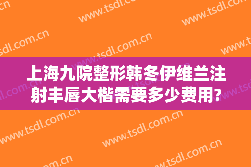 上海九院整形韩冬伊维兰注射丰唇大楷需要多少费用?怎么样?(九院嘴唇整形价格)