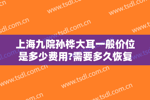上海九院孙桦大耳一般价位是多少费用?需要多久恢复?