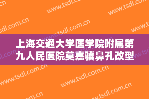上海交通大学医学院附属第九人民医院莫嘉骥鼻孔改型要多少钱?好不好?