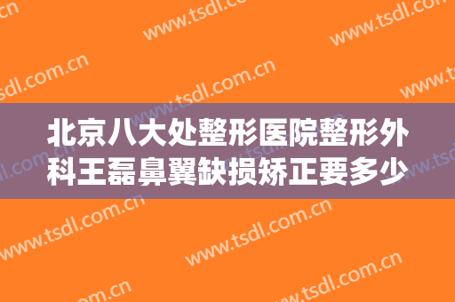北京八大处整形医院整形外科王磊鼻翼缺损矫正要多少钱?贵不贵?(北京整形医生王磊)