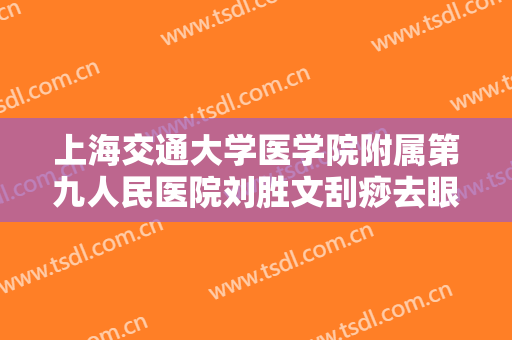 上海交通大学医学院附属第九人民医院刘胜文刮痧去眼袋价格表!好不好?