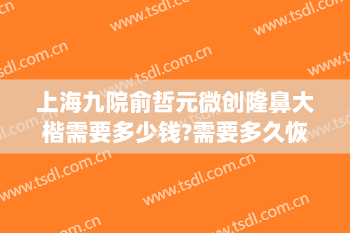 上海九院俞哲元微创隆鼻大楷需要多少钱?需要多久恢复?(上海九院俞哲元双眼皮修复)