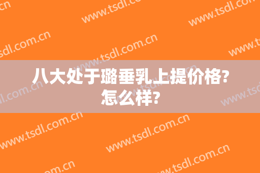 八大处于璐垂乳上提价格?怎么样?