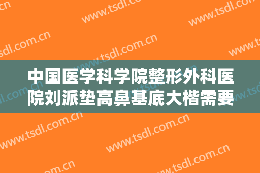 中国医学科学院整形外科医院刘派垫高鼻基底大楷需要多少费用?需要多久恢复?