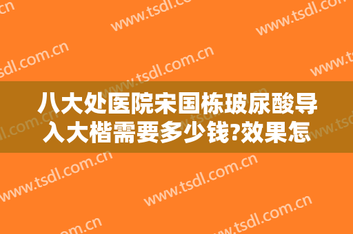 八大处医院宋国栋玻尿酸导入大楷需要多少钱?效果怎么样?