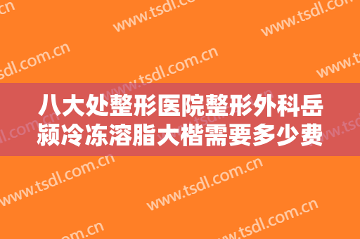 八大处整形医院整形外科岳颍冷冻溶脂大楷需要多少费用?有哪些优势?