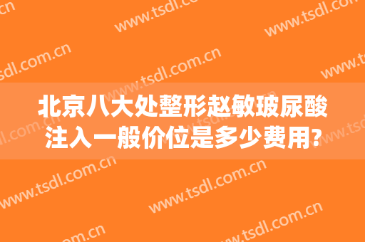 北京八大处整形赵敏玻尿酸注入一般价位是多少费用?好不好?(八大处医院注射玻尿酸)
