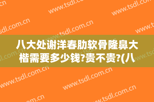 八大处谢洋春肋软骨隆鼻大楷需要多少钱?贵不贵?(八大处全肋隆鼻多少钱)