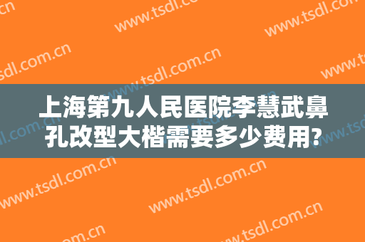 上海第九人民医院李慧武鼻孔改型大楷需要多少费用?可靠吗?