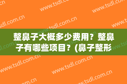 整鼻子大概多少费用？整鼻子有哪些项目？(鼻子整形一般费用多少)