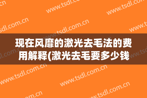 现在风靡的激光去毛法的费用解释(激光去毛要多少钱呢)