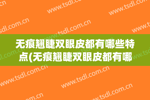 无痕翘睫双眼皮都有哪些特点(无痕翘睫双眼皮都有哪些特点图)