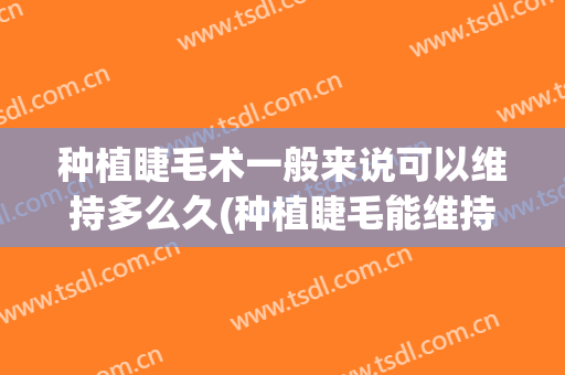 种植睫毛术一般来说可以维持多么久(种植睫毛能维持多长时间)